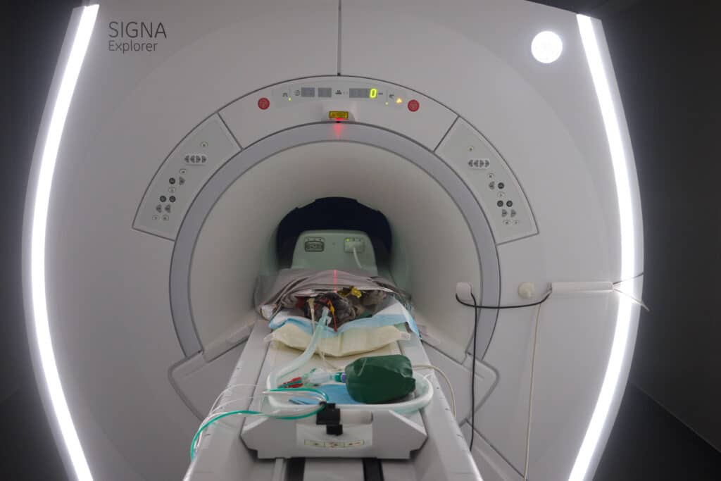 chat dans machine IRM
